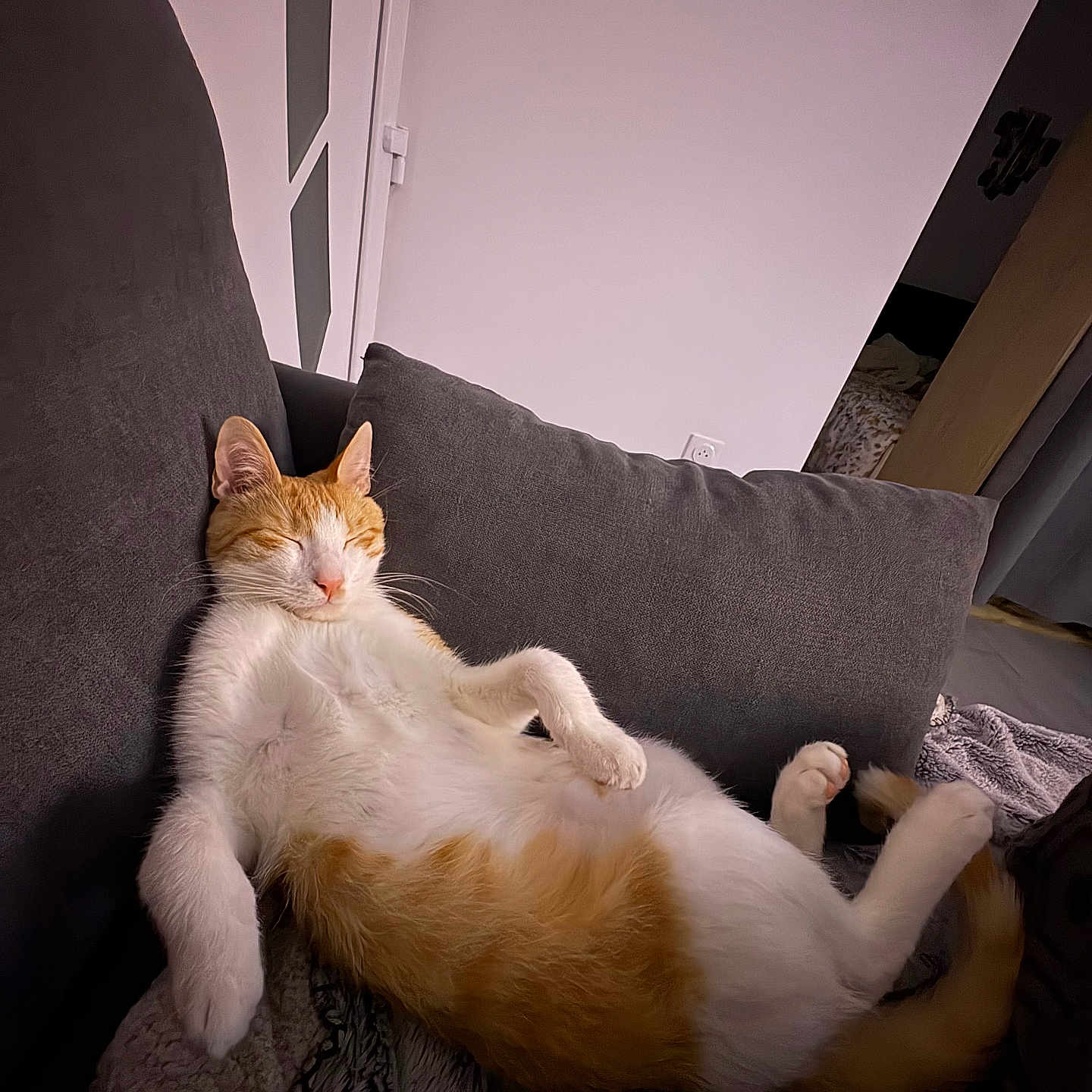 Gustav