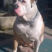 Naya participe au concours pour gagner de l'argent avec cette photo :