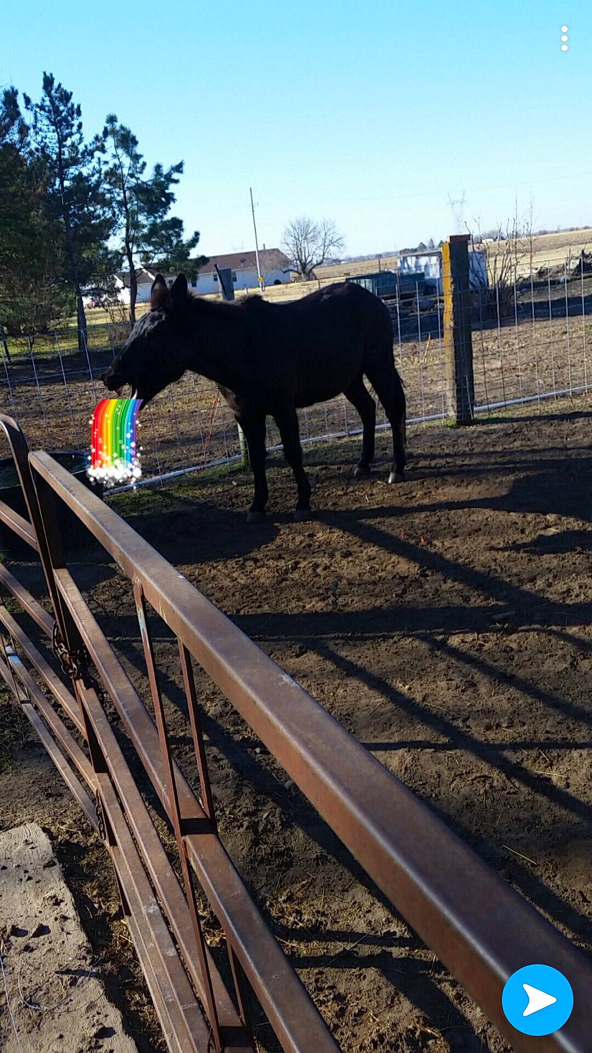 Bart is registered to the contest to win money with this photo: fence, grass, horse, horse_supplies, horse_tack, landscape, livestock, mammal, mane, mare, pack_animal, plant, sky, snout, split_rail_fence, terrestrial_animal, tree, vertebrate, wood, working_animal