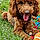 Vicky