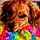Flicka