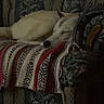 blanket, canine, comfort, couch, cozy, dog, domestic_animal, floral_pattern, furniture, home, indoor, living_room, nap, peaceful, pet, quiet, relaxation, resting, sleeping, wood_floor