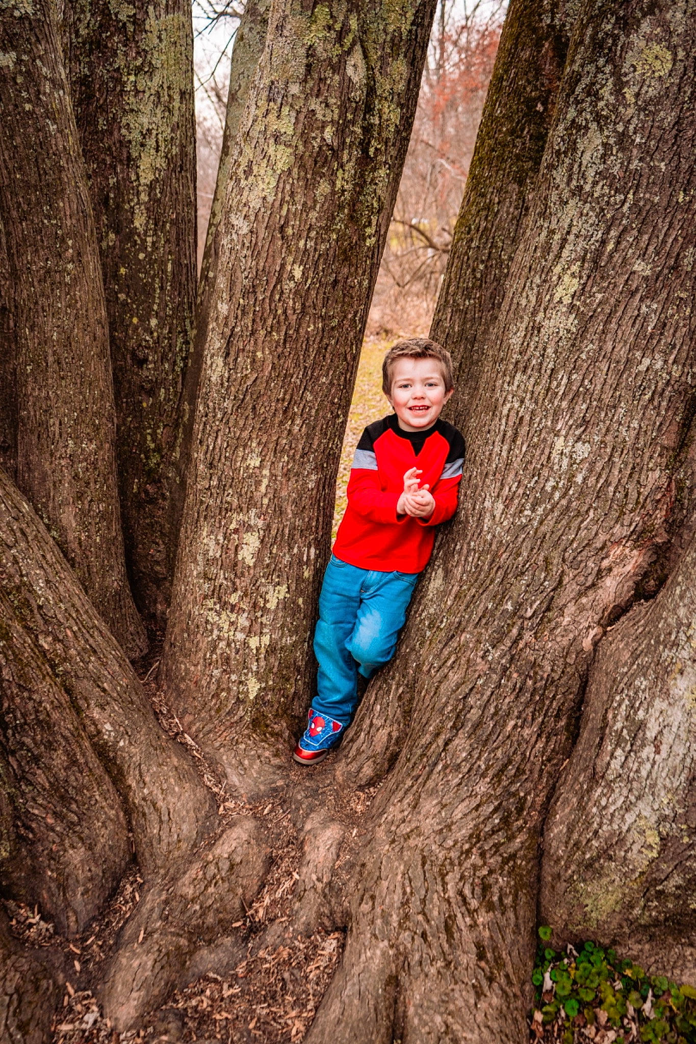 Grayson joined the competition — help win amazing prizes! deciduous, electric_blue, eye, forest, fun, grass, happy, joy, leisure, organism, people_in_nature, person, plant, recreation, rock, smile, toddler, tree, trunk, wood