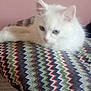 Snow participe au concours pour gagner de l'argent avec cette photo : kitten, cat, white_fur, blue_eyes, pillow, zigzag_pattern, indoor, pet, cute, fluffy, resting, pink_wall, soft_texture, animal, domestic, young_cat, cozy, feline, closeup, relaxed