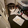 art_supplies, calico_cat, cat, chair, closeup, container, crafting, curious, domestic_animal, feline, floor_tiles, home, indoor, messy, paint_jars, paintbrushes, paper_towels, pet, studio, table