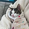 cat, tabby_cat, white_fur, blanket, polka_dots, soft_texture, cozy, wrapped, relaxed, sleepy, pet, animal, feline, indoors, warm, closeup, cuddle, cute, fur, resting
