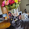 black_cat, cat, table, flowers, vase, artificial_flowers, yellow_eyes, wooden_table, chair, kitchen, indoor, bottle, speaker, household_items, curious_cat, close_up, domestic_animal, pet, feline, relaxed