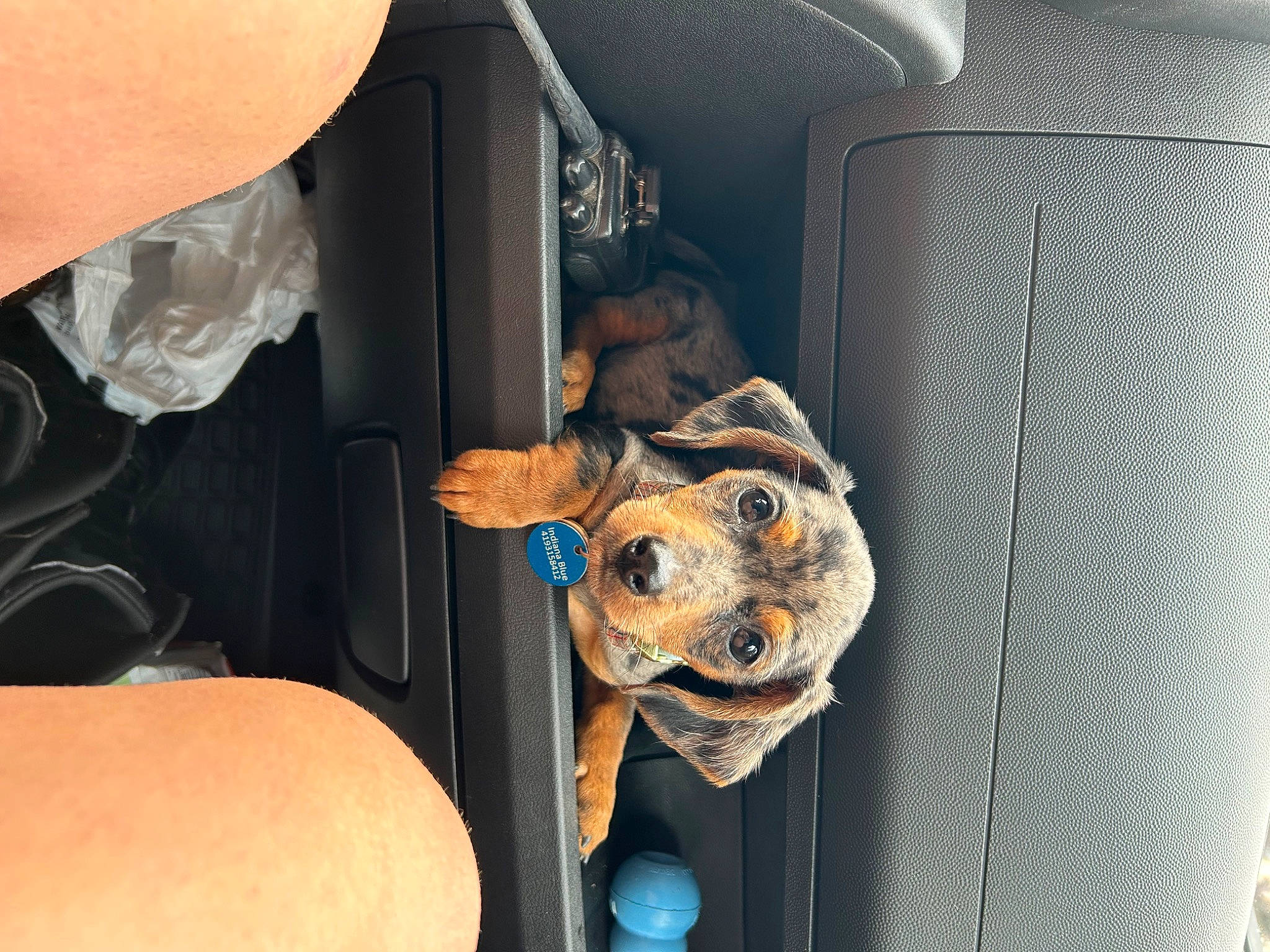 Indy joined the competition — help win amazing prizes! art, auto_part, automotive_design, automotive_exterior, automotive_lighting, bumper, car, car_seat, car_seat_cover, door, door_handle, family_car, head_restraint, luxury_vehicle, metal, motor_vehicle, trunk, vehicle, vehicle_door, wood