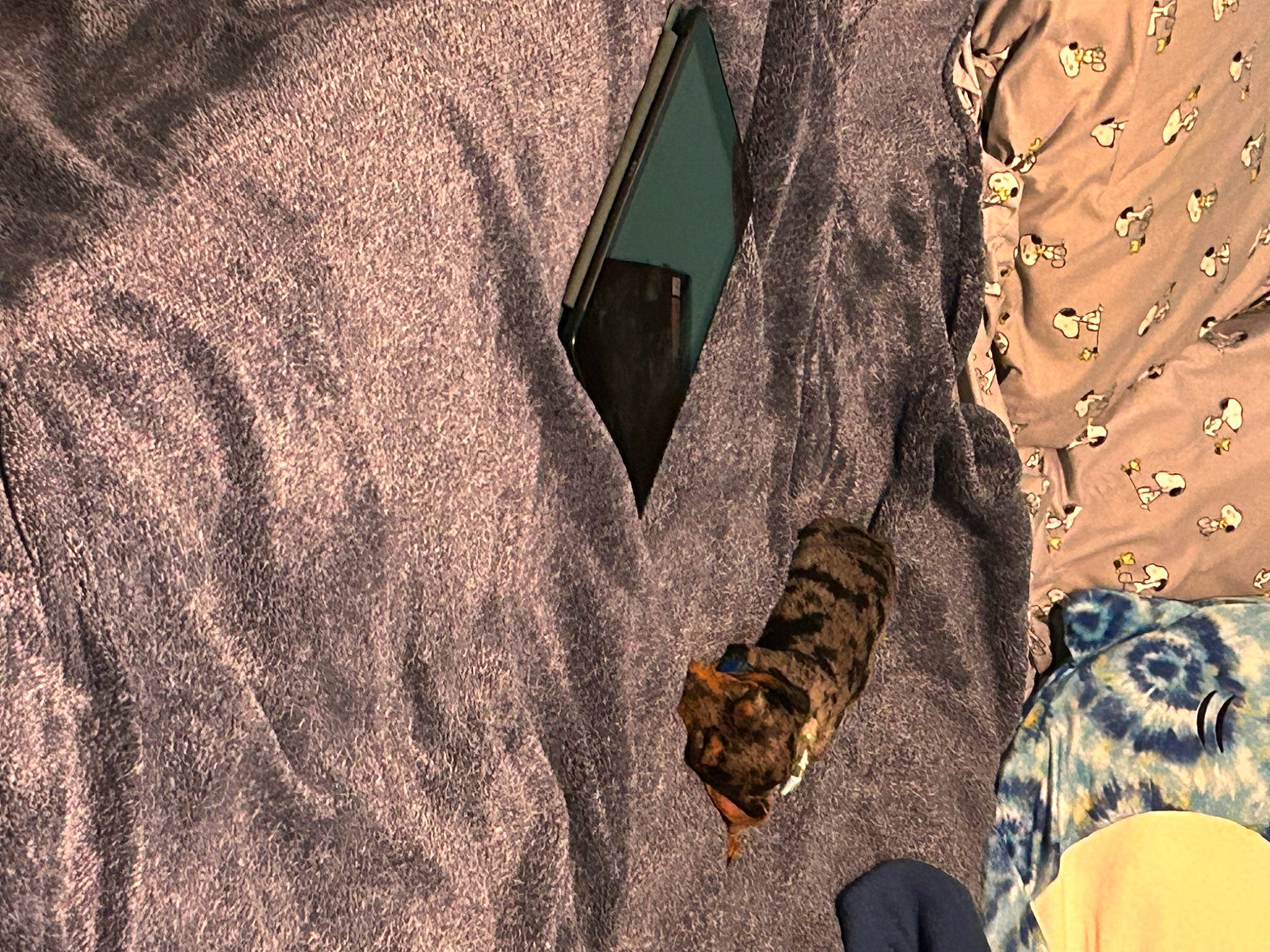 Indy joined the competition — help win amazing prizes! art, camouflage, denim, fashion_design, feather, font, fur, grass, grey, headgear, jacket, jersey, military_camouflage, outerwear, pattern, sleeve, soil, t_shirt, uniform, wood