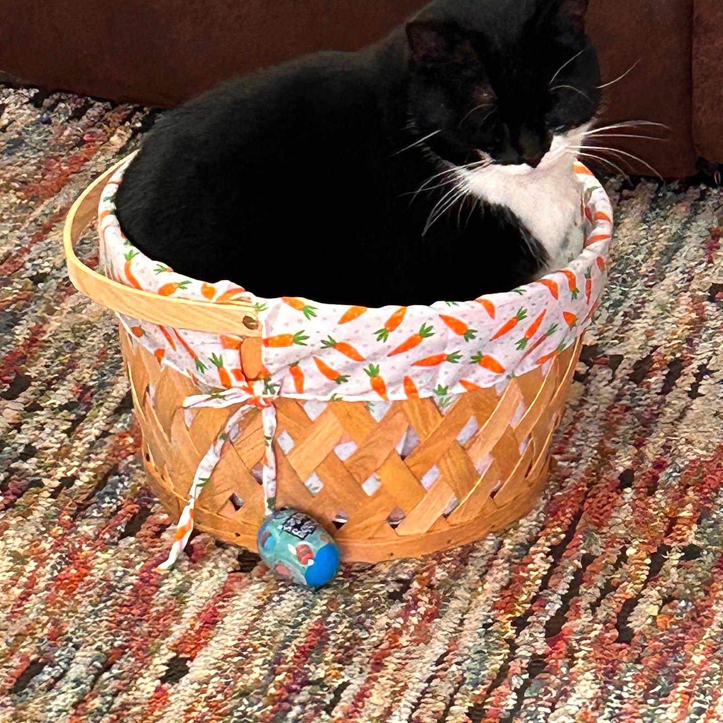 Lady is registered to the contest to win money with this photo: animal, basket, black_and_white, carrot_pattern, cat, comfortable, cozy, cute, fabric, feline, furniture, home, indoor, pet, resting, rug, sitting, small_space, whiskers, woven_basket