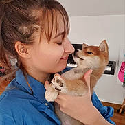 Tokyo participe au concours pour gagner de l'argent avec cette photo : woman, person, puppy, dog, shiba_inu, pet, cuddling, affection, nose_to_nose, portrait, indoor, home, blue_shirt, brown_fur, white_fur, ears, paws, piano, wood_floor, happy