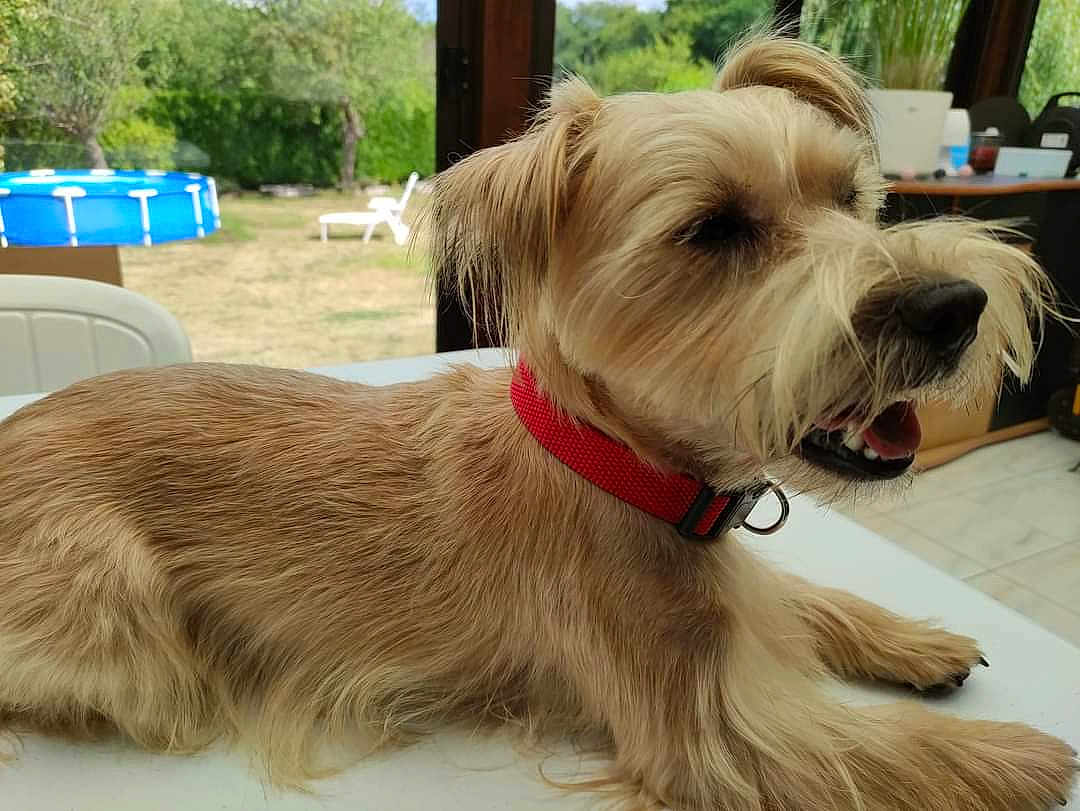 Charly