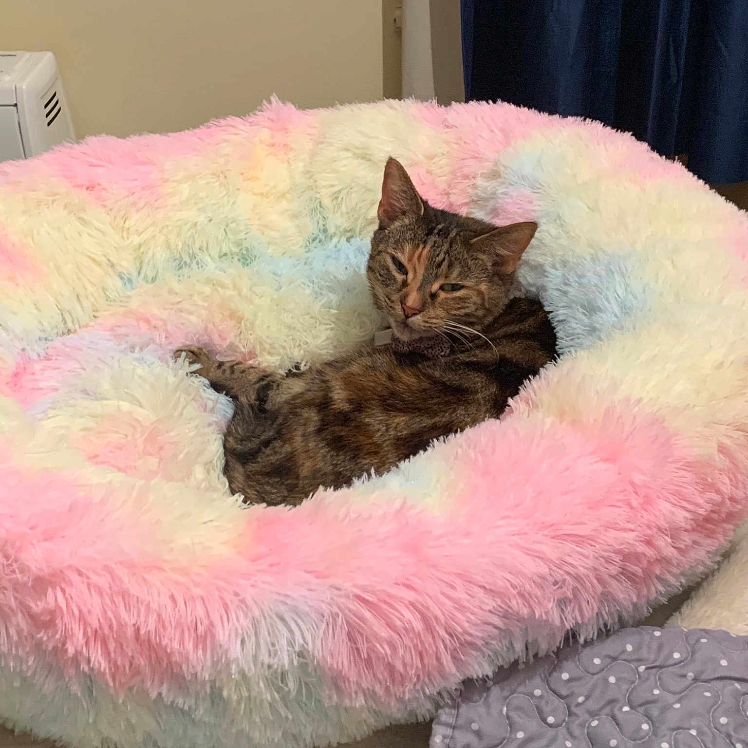 Lady Lottie