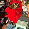 animal, blue_rug, cardboard_boxes, cat, clutter, couch, cozy, dvd_cases, fan, fur, household_items, indoor, living_room, looking, pet, plastic_step_stool, red_blanket, relaxed, sitting, tabby_cat