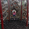 child, playground, climbing_wall, rock_climbing, play, outdoor, trees, wood_chips, clothing, pink_shirt, blue_pants, footwear, climbing_holds, play_equipment, nature, fun, activity, daylight, person, recreation