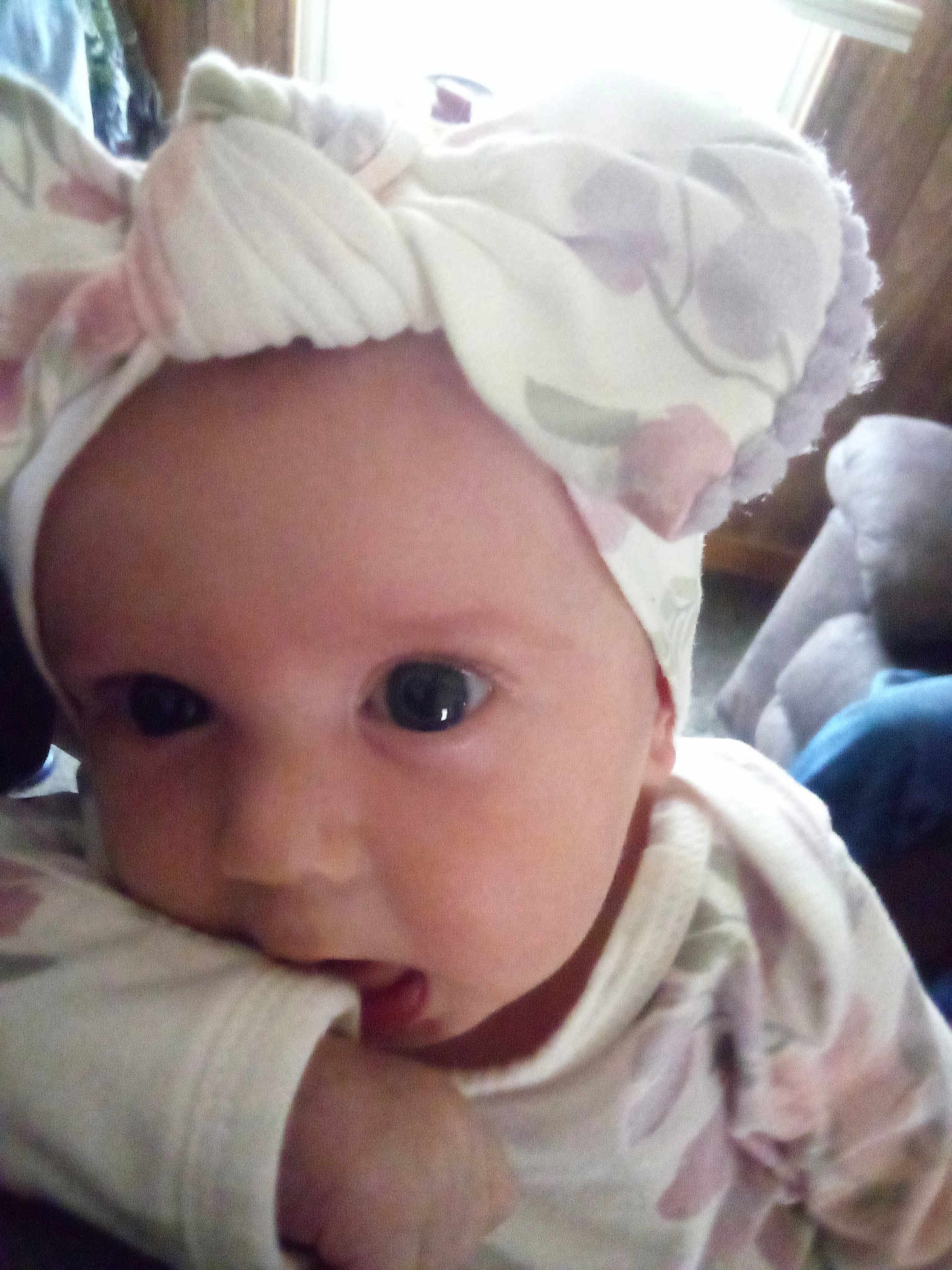 Gracie