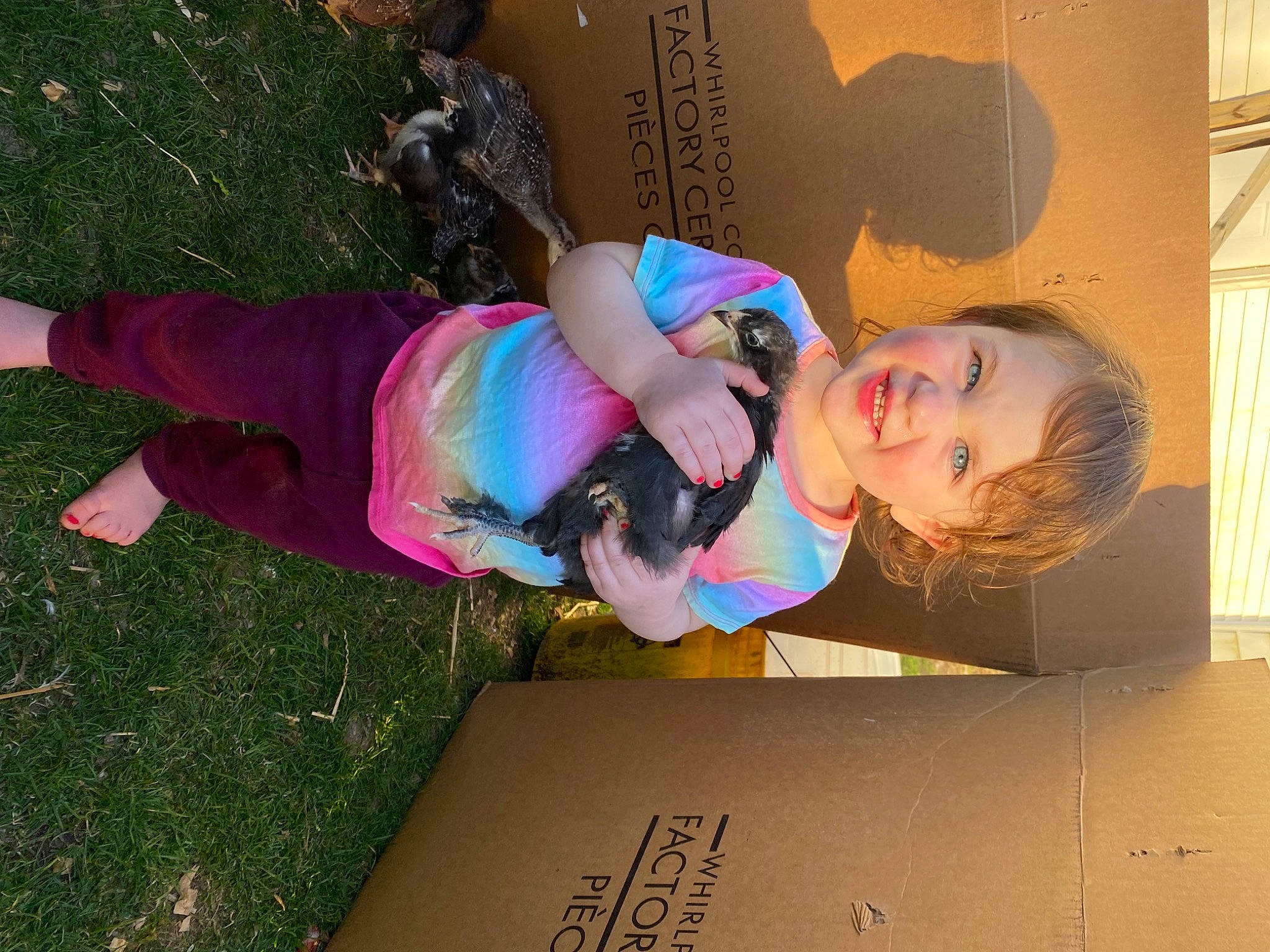 Paisley is registered to the contest to win money with this photo: child, flooring, fun, grass, happy, leisure, magenta, person, pink, plant, play, smile, toddler
