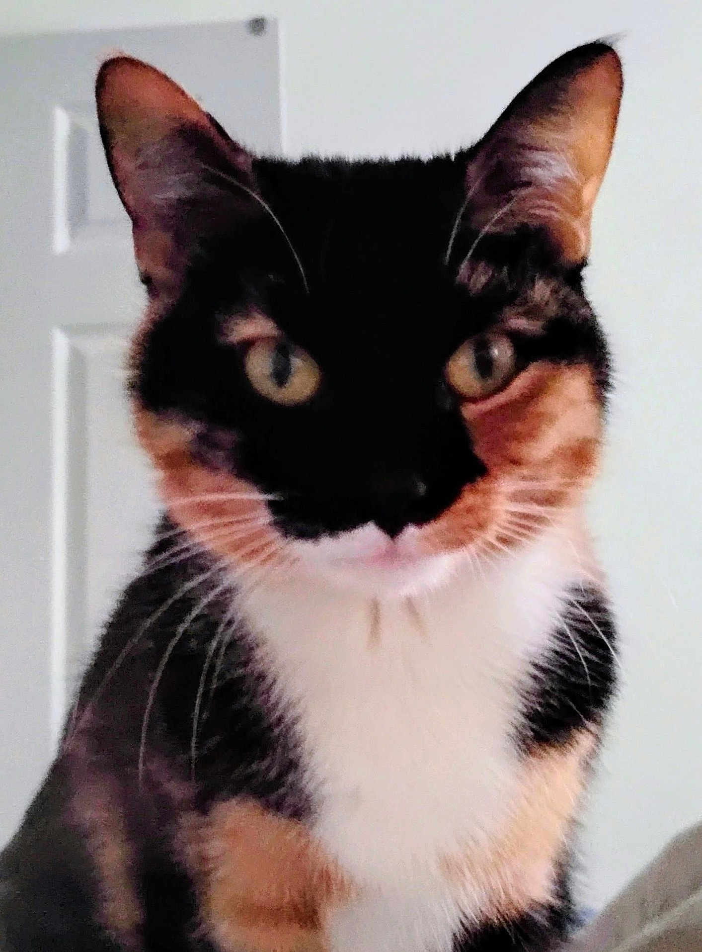 Sophie