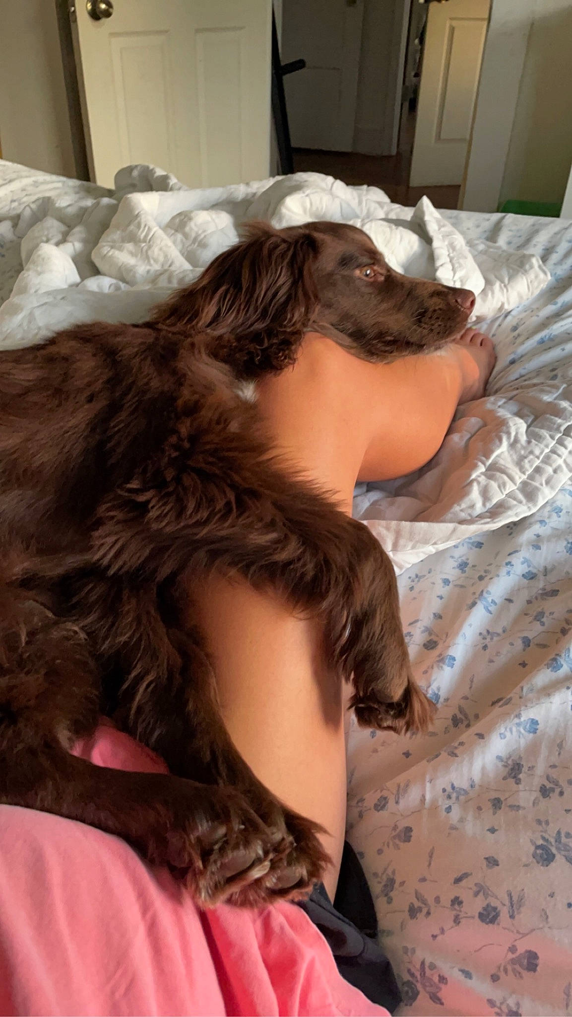 Rivers is registered to the contest to win money with this photo: abdomen, beard, bed, bedding, black_hair, chest, child, comfort, eyebrow, eyelash, fur, hair, happy, head, human_leg, linens, long_hair, neck, thigh, trunk