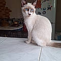 Préscilla B.
