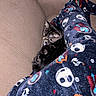 animal, black, brown, cat, comfort, couch, cozy, fabric, feline, home, indoor, pajamas, patterned_clothing, pet, relaxing, resting, seated, skull_pattern, tabby_cat, texture
