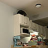 Chip is registered to the contest to win money with this photo: appliance, cabinet, cat, clutter, container, countertop, curious, domestic, feline, high_place, household, indoor, kitchen, light_fixture, microwave, mixer, pet, stacked_items, wall, white_cabinet