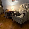 armchair, blanket, cat, cozy, cushion, feather_toy, floor_rug, home_decor, indoor, knitted_blanket, lamp, lighting, living_room, picture_frame, playful, relaxed, side_table, tabby_cat, wall, wooden_floor