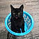 Salem