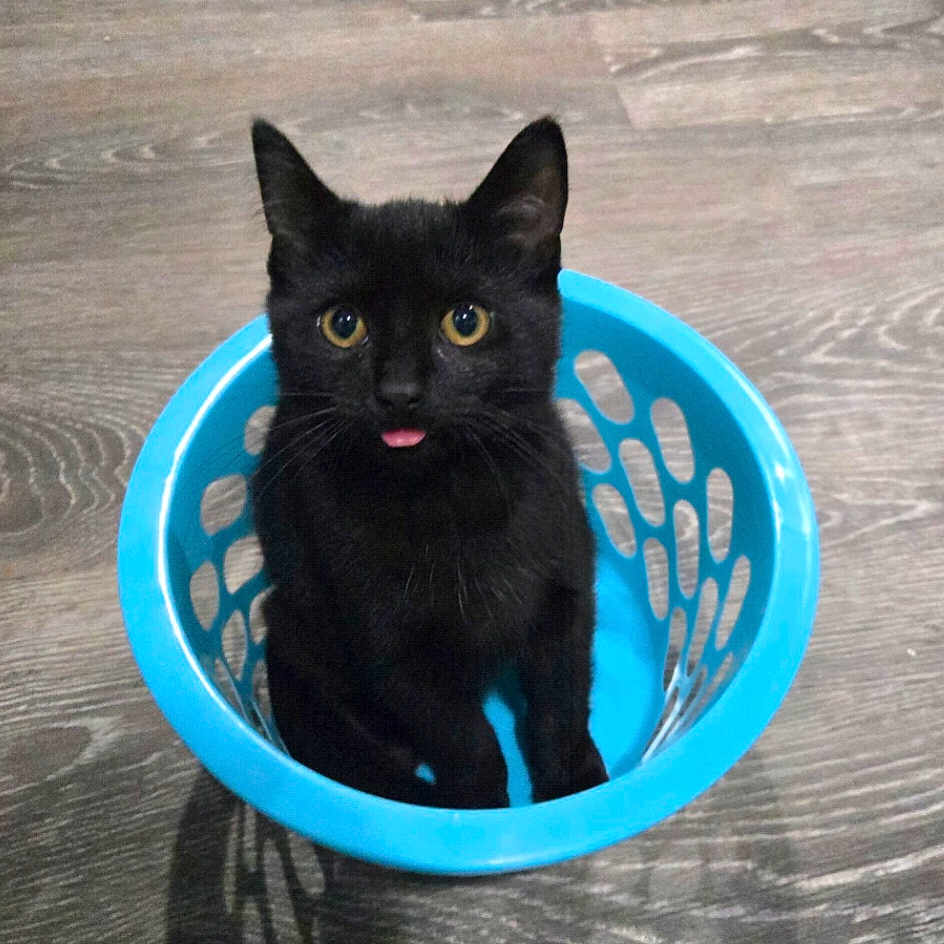Salem