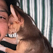 Tulip is registered to the contest to win money with this photo: dog, person, face, snuggling, close_up, indoor, pillow, striped, brown_dog, affection, pet, companion, resting, cute, cozy, fur, human, animal, sleeping, friendship