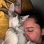 Guizmo a rejoint le concours — aidez-le/la à gagner de superbes lots ! person, cat, sleeping, cozy, tattoo, arm, bed, blanket, yellow, furry, closeup, indoor, face, snuggling, resting, comfort, pet, cute, relaxation, warm
