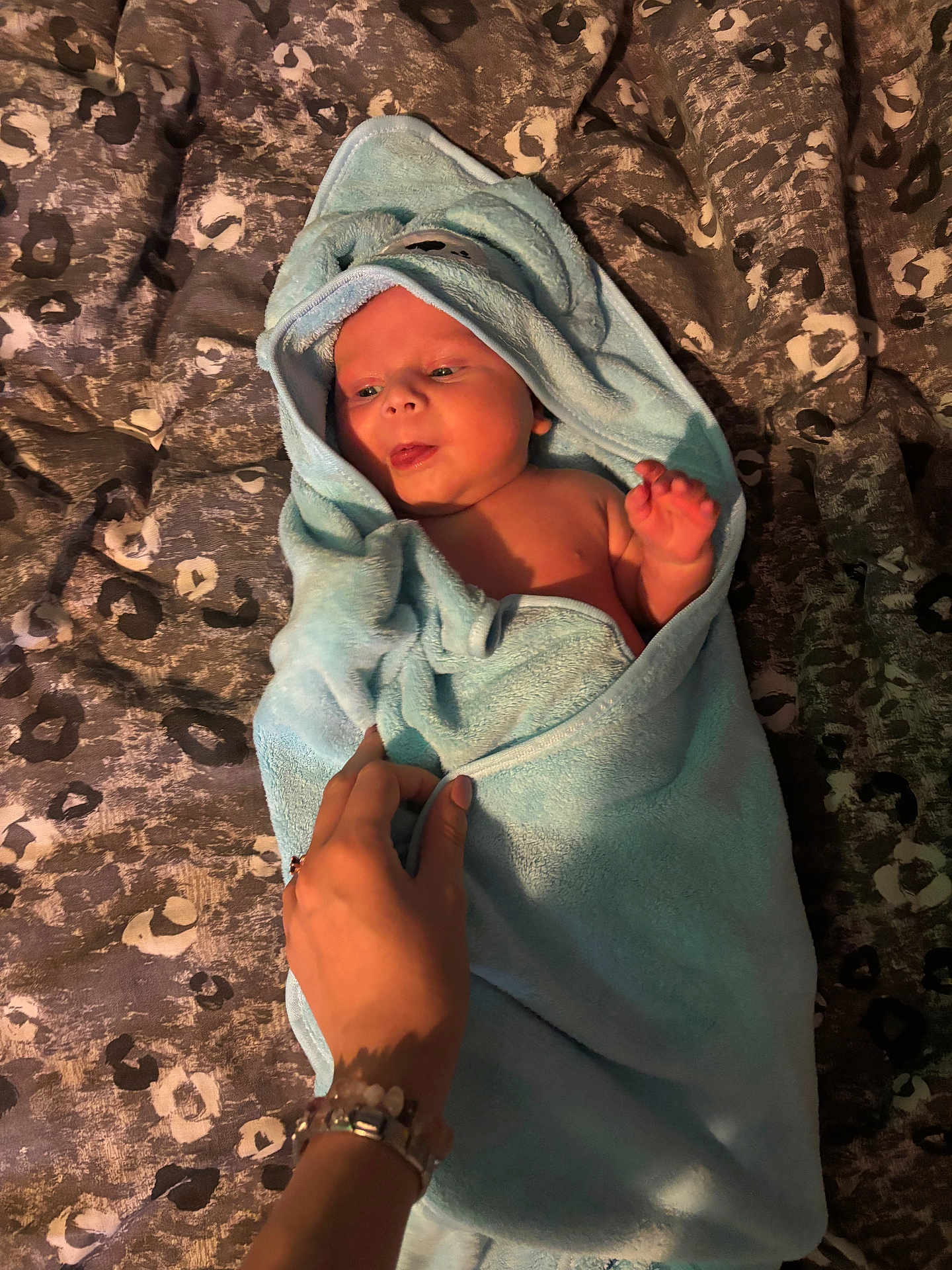 Austin is registered to the contest to win money with this photo: baby, towel, hand, blanket, infant, wrapped, bed, pattern, soft, cozy, cute, newborn, skin, person, lying_down, blue, warm, comfort, small, expression