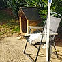 cat, white_cat, chair, outdoor, sunlight, greenery, bushes, wooden_cat_house, pet, relaxing, backyard, metal_pole, bowl, concrete_ground, nature, daylight, feline, animal, resting, summer