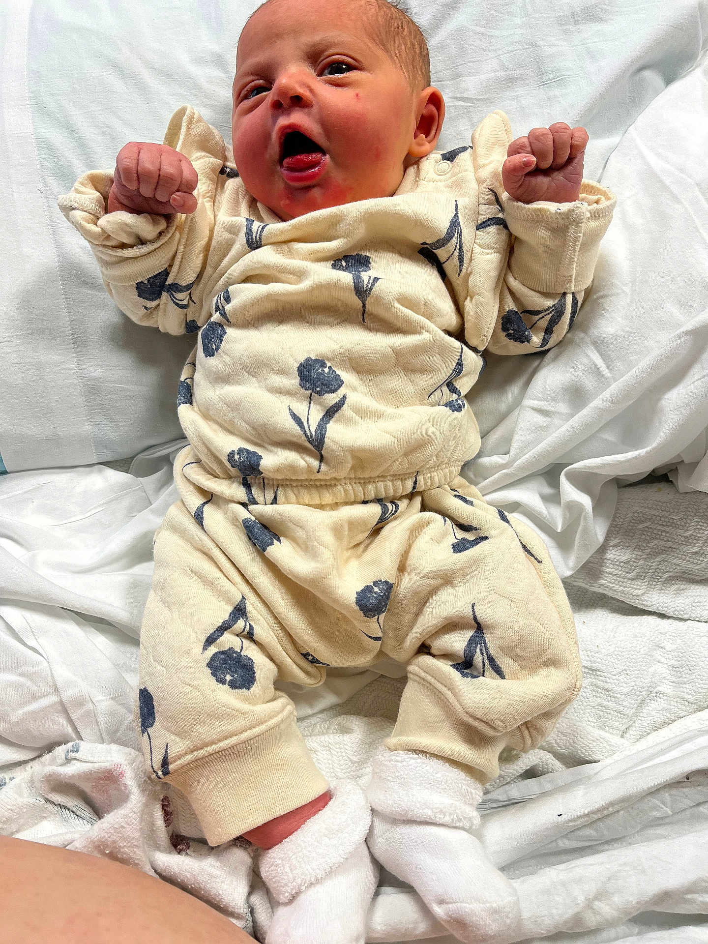 Railey Quinn