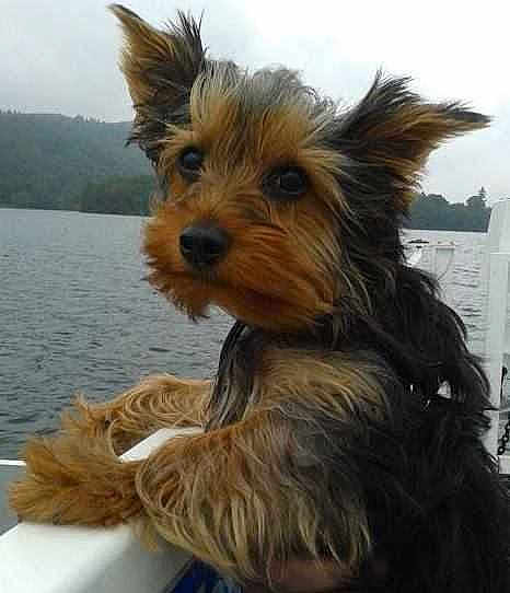 ELLIE is registered to the contest to win money with this photo: