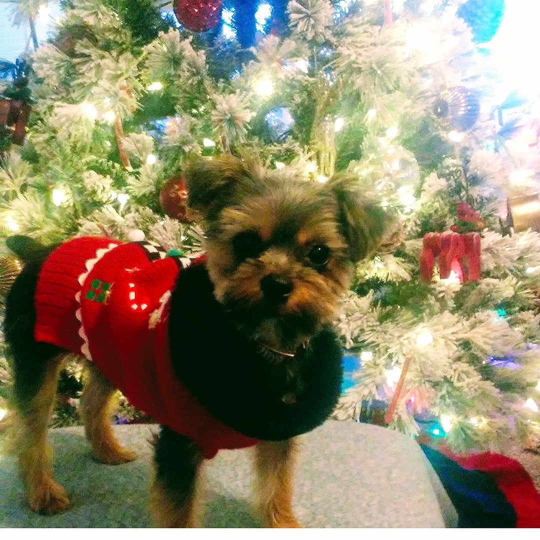 Gracie Mae