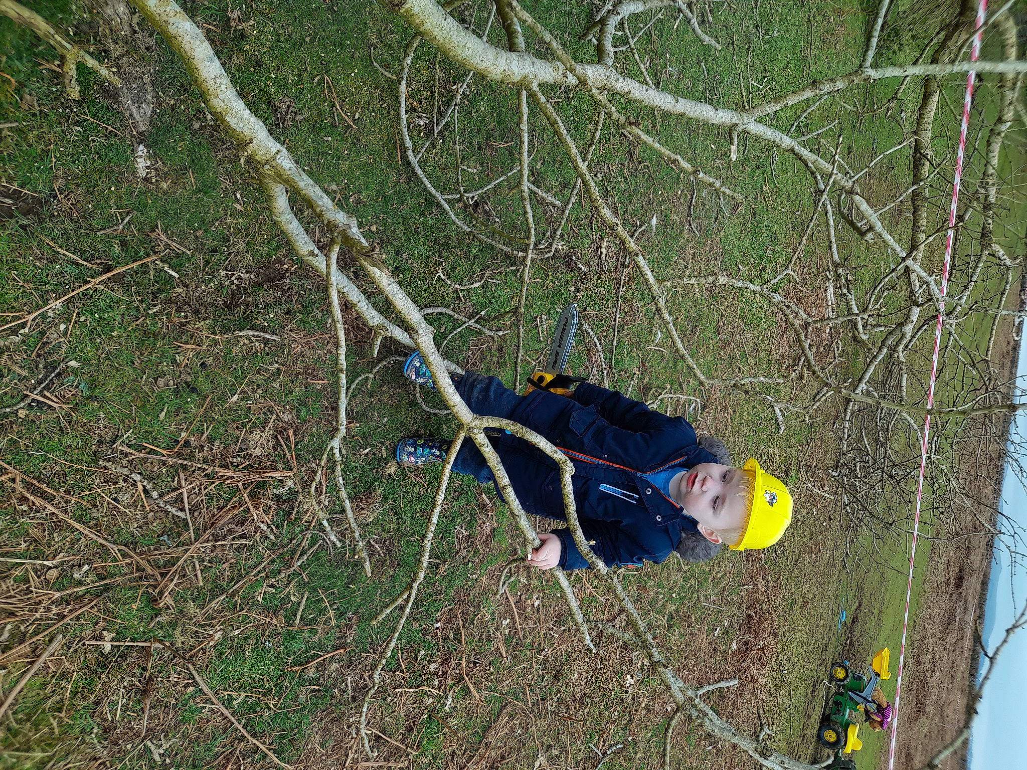 Declan is registered to the contest to win money with this photo: adventure, arborist, bungee_cord, electric_blue, forest, grass, headwear, jungle, people_in_nature, person, plant, recreation, rock_climbing_equipment, rope, sky, slope, soil, terrestrial_plant, tree, trunk
