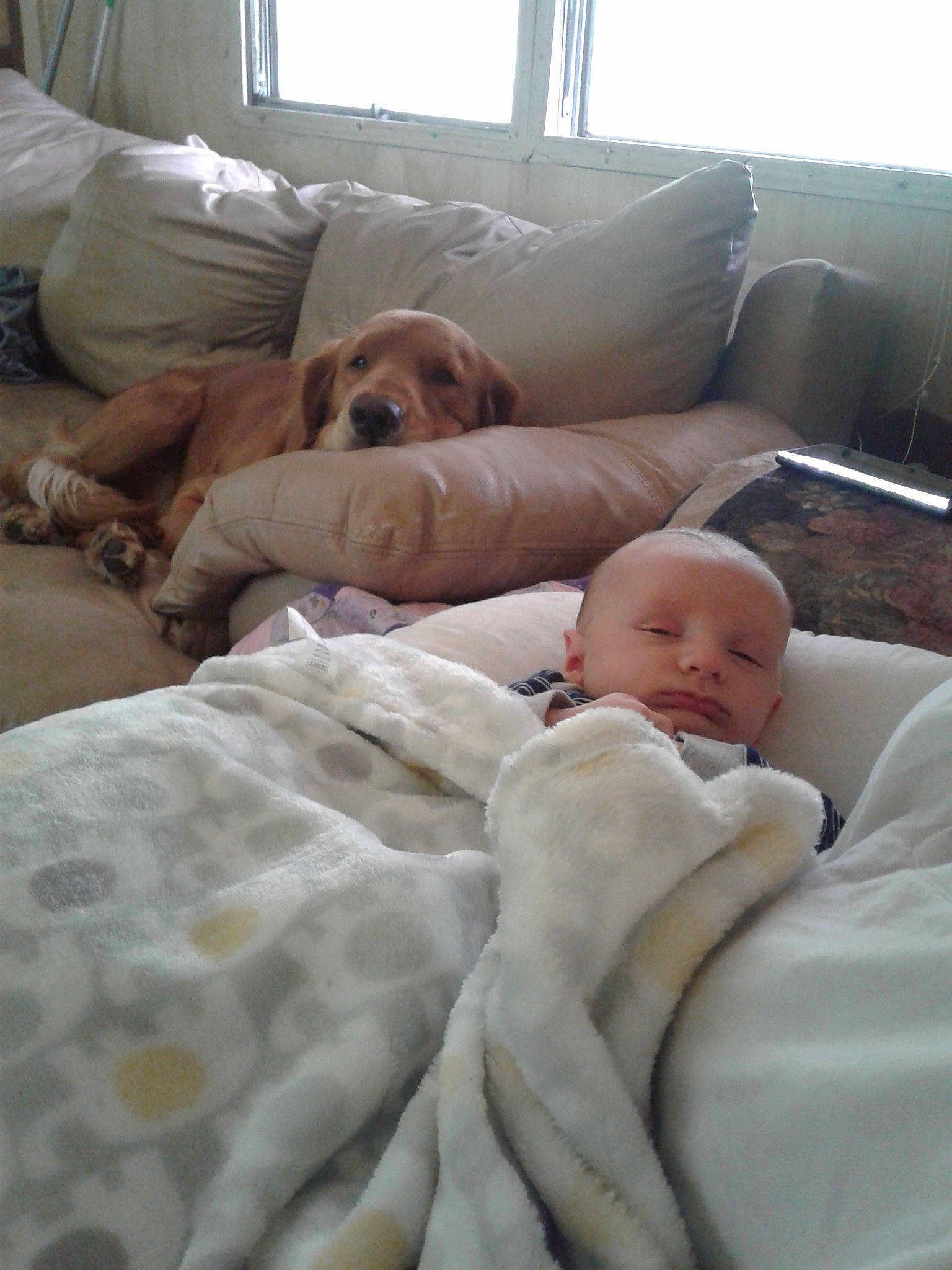 Lawton joined the competition — help win amazing prizes! baby, bed, bedtime, child, comfort, furniture, nap, person, product, room, textile