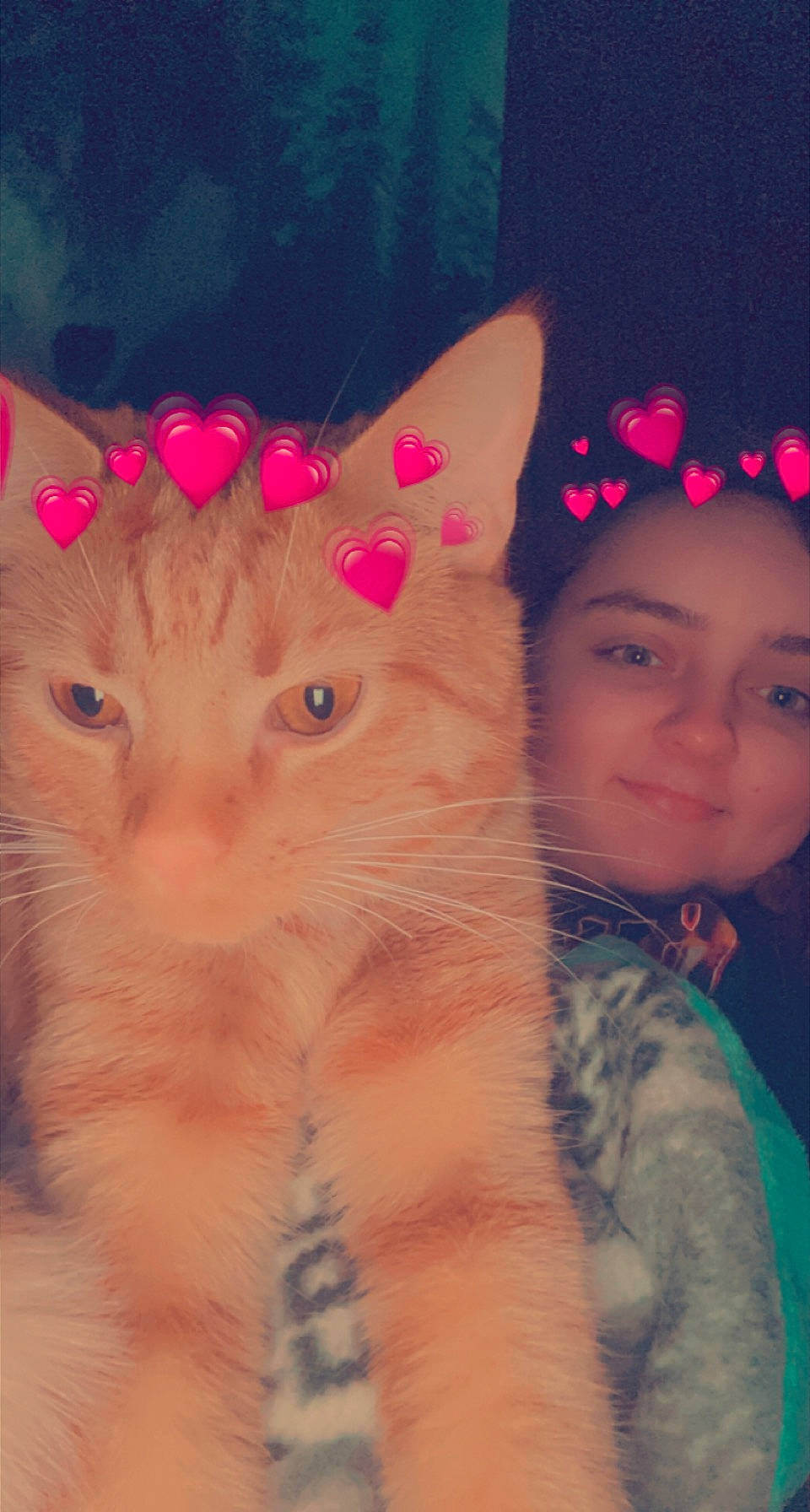 Judah joined the competition — help win amazing prizes! beauty, carnivore, cat, ear, eye, eyebrow, fashion_accessory, fawn, felidae, fur, gesture, magenta, organ, petal, pink, selfie, skin, small_to_medium_sized_cats, tail, whiskers