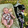 baby, child, dog, puppy, outdoor, grass, blanket, toy, rope, smile, happy, sunlight, nature, playful, animal, infant, patterned_clothing, relaxing, cute, pet