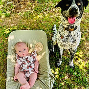 Noelle is registered to the contest to win money with this photo: baby, infant, outdoor, grass, dog, pet, animal, blanket, nature, sunlight, shadow, butterfly_print, cute, young_child, collar, tag, summer, relaxing, greenery, playful