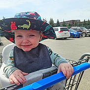Greyson is registered to the contest to win money with this photo: toddler, child, shopping_cart, hat, dinosaur_pattern, smile, outdoor, parking_lot, car, blue_handle, bib, long_sleeve, happy, daylight, clothing, hand, face, trees, sky, seat