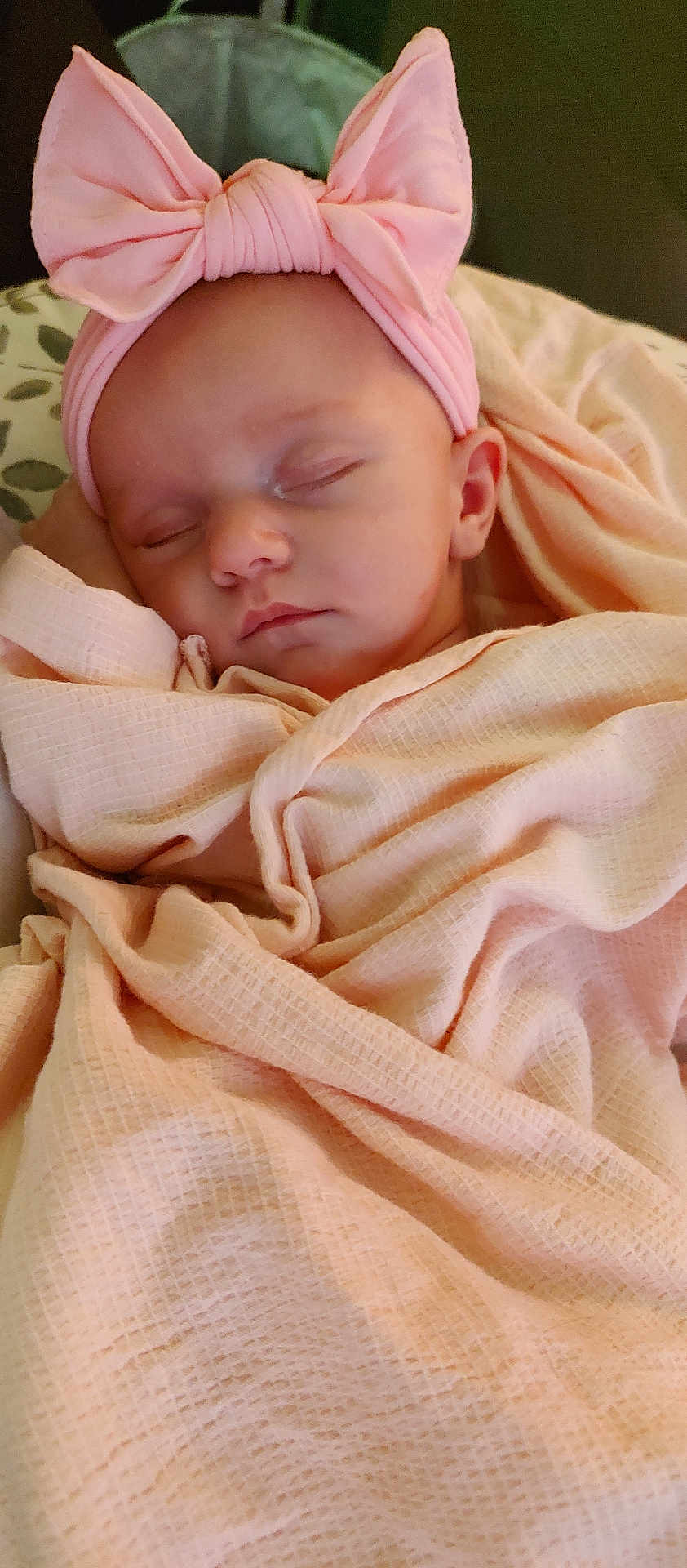 Amaryllis is registered to the contest to win money with this photo: adorable, baby, blanket, child, closeup, cozy, cute, face, headband, indoors, infant, newborn, peace, peaceful, pink_bow, portrait, resting, sleeping, soft_texture, wrapped