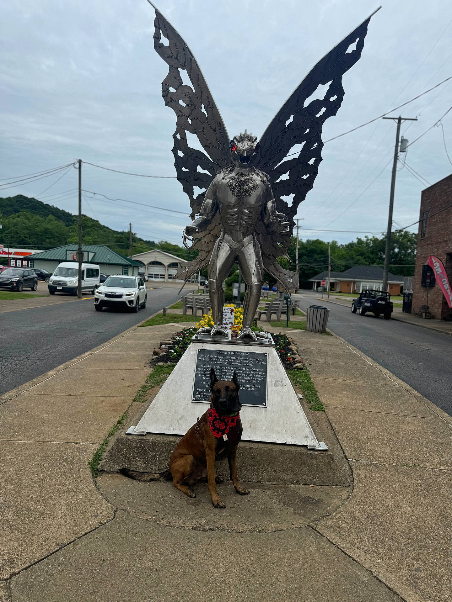 Loki is registered to the contest to win money with this photo: adult, animal, canine, car, city, dog, flagstone, male, man, path, person, pet, road, sidewalk, slate, street, transportation, urban, vehicle, walkway