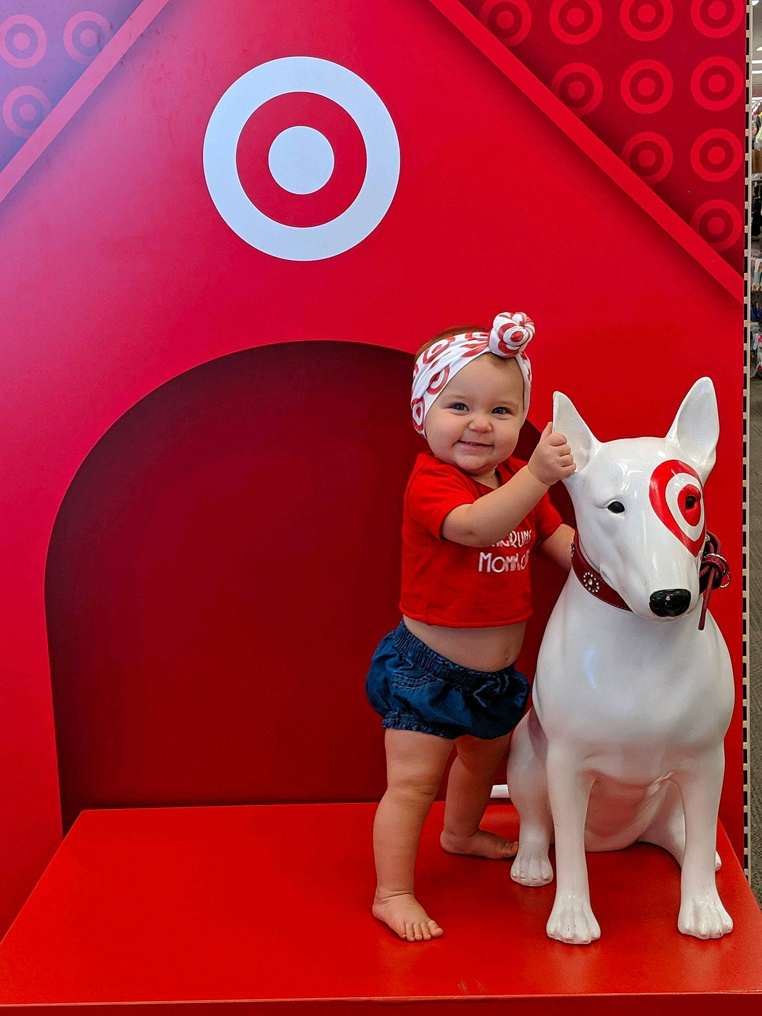 Madilynn is registered to the contest to win money with this photo: american_staffordshire_terrier, bull_and_terrier, bull_terrier, bull_terrier_miniature, canidae, carnivore, companion_dog, dog, dog_breed, fawn, fun, non_sporting_group, person, red, terrier, world