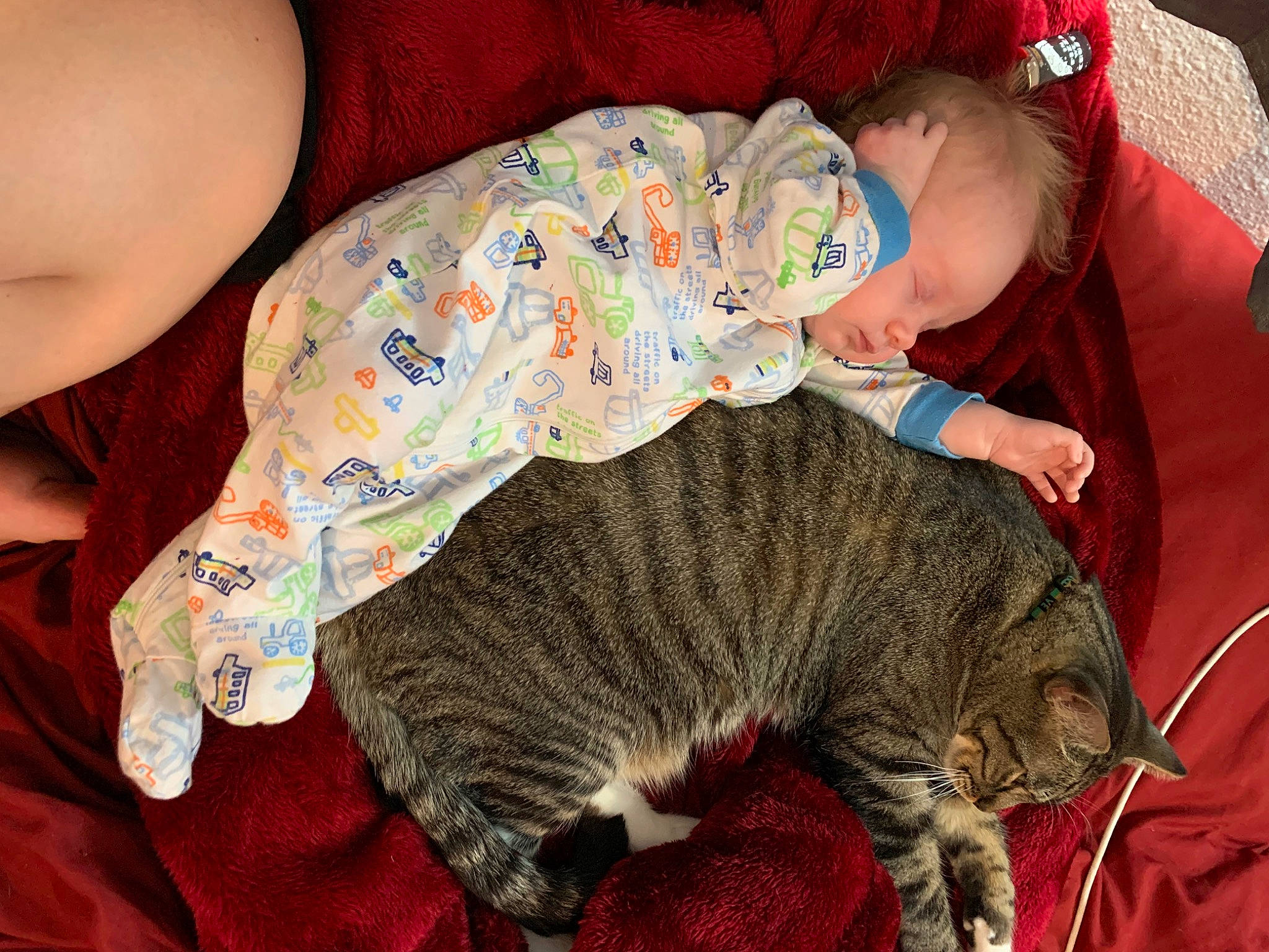 Smokee is registered to the contest to win money with this photo: baby, baby_toddler_clothing, carnivore, cat, chest, comfort, domestic_short_haired_cat, felidae, fur, hat, headgear, interaction, lap, organ, skin, small_to_medium_sized_cats, tail, thigh, toddler, whiskers