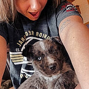Buster joined the competition — help win amazing prizes! woman, puppy, dog, selfie, indoor, heterochromia, cute, smile, playful, tattoo, shirt, fur, face, eyes, pet, animal, cozy, home, person, portrait