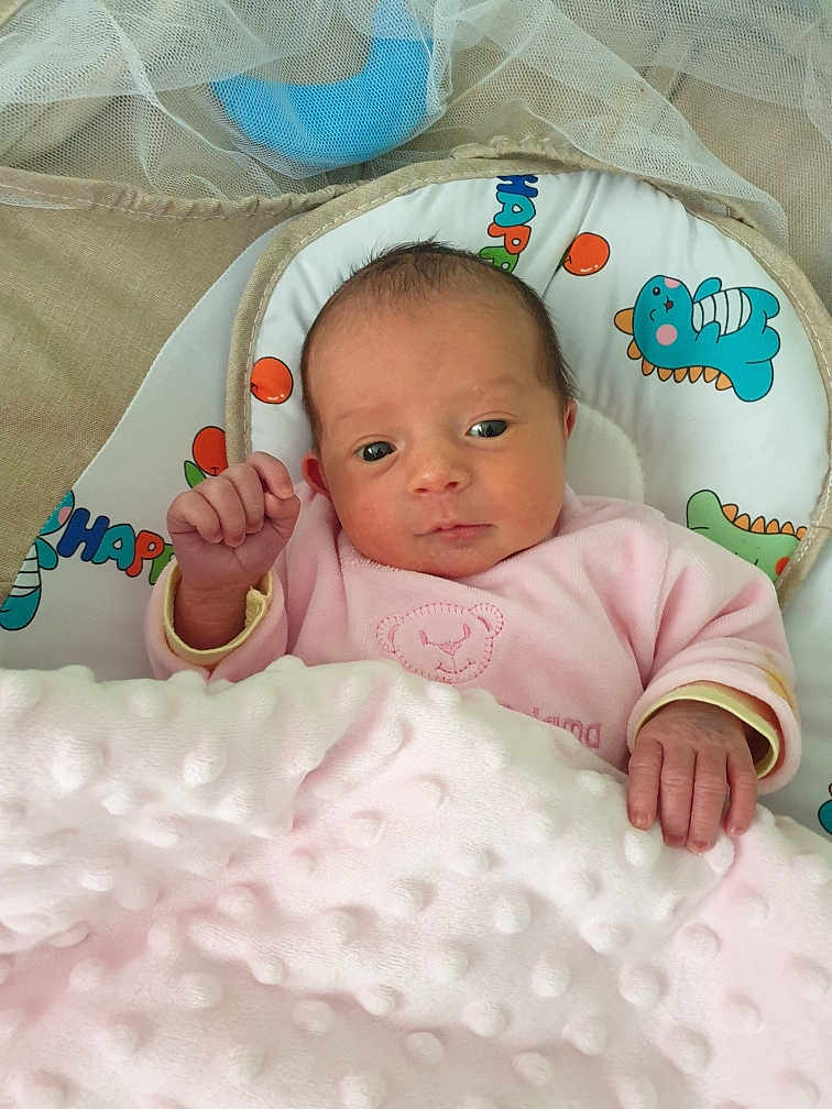 Espérance participe au concours pour gagner de l'argent avec cette photo : baby, newborn, infant, blanket, pink_blanket, onesie, baby_seat, cushion, dinosaur_print, hand, face, eyes, indoors, portrait, cozy, awake, soft_texture, bedding, head, adorable