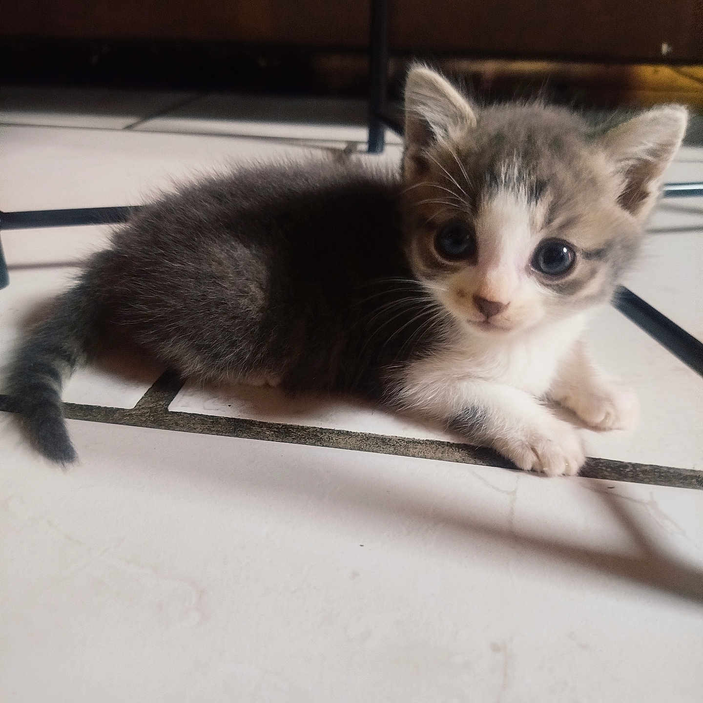 Akira
