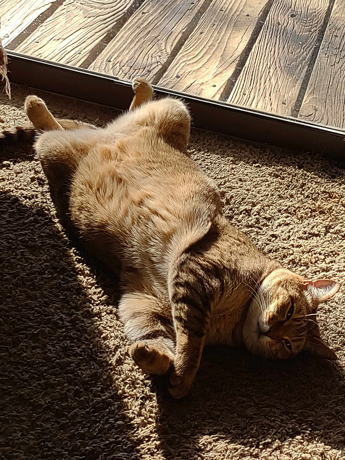 Pixel